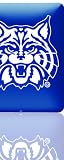 Skinit Protective Skin Fits iPad (UNIVERSITY OF ARIZONA WILDCATS)