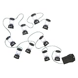 Coleman LED String Lights