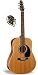 Seagull Coastline Cedar Gloss Top Quantum I Acoustic-Electric Guitar