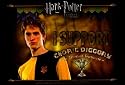 Harry Potter and the Goblet of Fire - Movie Poster - 11 x 17