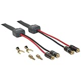 6FT 10 Awg Sonicwave Speaker