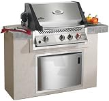 Napoleon Built-In Infrared Series BIPT450RBINSS1 30 Built-in Gas Grill with 694 sq. in. Cooking Surface, 61000 Total BTU, 2 Bottom Burners, 1 Infrared Burner, Infrared Rear Rotisserie Burner and WAVE Rod Cooking Grids: Stainless Steel: Natural Gas