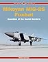 Mikoyan Mig-25 Foxbat: Guardian of the Soviet Borders (Red Star) (Red Star)