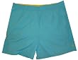 Men's Polo by Ralph Lauren Swimming Trunks Bathing Suit Big & Tall Size 3XB Torquoise