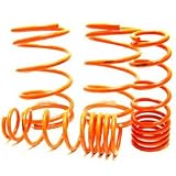 Megan Racing MR-LS-ME9599 Lowering Springs