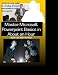 Master Microsoft Powerpoint Basics in About an Hour