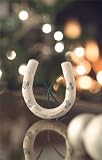 Belleek 2-3/4-Inch Good Luck Horseshoe Ornament