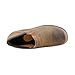 Ariat Womens Santa Cruz Clog Clogs/Shoes