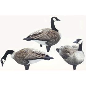 Renzo's Canada Goose Decoy - 6 pack by 