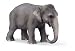 Schleich シュライヒ インド象 (メス)