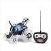 Toys : THUNDER TUMBLER RC CAR