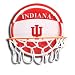 Indiana University Hoosiers Neon Basketball Light