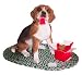 Beagle Sandicast Holiday Ornament