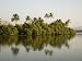 Backwater Near Mobor, Goa, India Art Photographic Poster Print by R H Productions, 12...