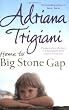 Home to Big Stone Gap