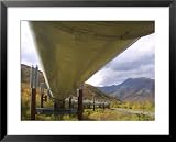 The 800-Mile Trans-Alaska Pipeline Framed Art Poster Print, 31x25