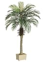 Pack of 2 Potted Artificial Silk Phoenix Palm Trees 5'