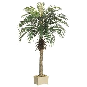 Pack of 2 Potted Artificial Silk Phoenix Palm Trees 5'