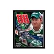 Dale Earnhardt Jr National Guard/ Amp 2009 8x10 Mylar Frame Photos