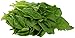 Local Spinach, 1 Bunch