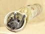 Trixie - 43001 - Tunnel de jeu en peluche - Beige - Diam�tre 25 cm / Longueur 125 cm