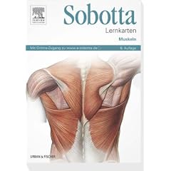 Sobotta Lernkarten Muskeln: Muskeln, mit Zugang zum Elsevier-Portal