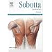 Sobotta Lernkarten Muskeln: Muskeln, mit Zugang zum Elsevier-Portal