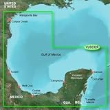GARMIN VUS032R SOUTHERN GULF MEXICO BLUECHART G2 VISION
