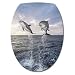 Stickersmania - Sticker abattant WC dauphins 26x34cm.