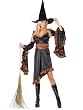 Classic Witch Costume Women's Plus Size Halloween Costumes