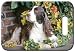 Set of 2 English Springer Spaniel Luggage Tags