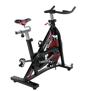 ProForm 290 SPX Indoor Cycle Trainer