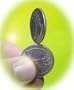 Balancing / Spinning Quarter - Very Easy to Perform