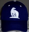 Alaska-Fairbanks Nanooks Wool Team Color One Fit Hat