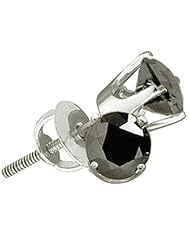 0.25 Carat (ctw) 14k White Gold Black Diamond Ladies Stud Earrings