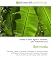 Bermuda: Bermuda, History of Bermuda, Geography of Bermuda, Politics of Bermuda, Military of Bermuda, Economy of Bermuda, Culture of Bermuda, Bermudian dollar, Hamilton