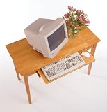 Review Winsome Wood 99042 / Winsome Wood Computer Desk, Honey
