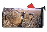 Buck and A Half Magnetic Mailbox Cover - B000N2VB6W