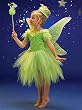 Green Pixie Halloween Costume