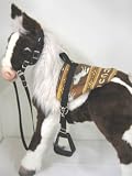 Butterscotch S'Mores Interactive Hasbro Saddle Set -Mustang Print