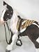 Butterscotch S'Mores Interactive Hasbro Saddle Set -Mustang Print