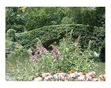 BRIDGE IN CENTRAL PARK Places Photographic Poster Print by WAYNE K. HOUSER, 10x8