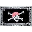 Pirate Flag -Skull with Skull Border