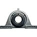Sealmaster NP-19T CTY Two Bolt Pillow Block Bearing