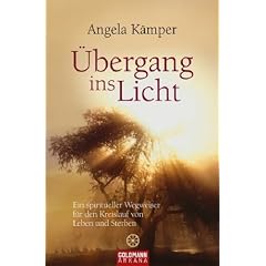 Der �bergang ins Licht: Ein spiritueller Wegweiser f�r den Kreislauf von Leben und Sterben -