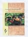 Creating a Bird-Friendly Backyard Habitat (T.F.H. Wild Birds Series) by Scott Edwards