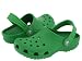 Apparel : Crocs Kids Cayman - Green (FREE SHIPPING)