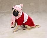 PINK - MEDIUM - Arctic Parka Dog Jacket Set