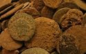 Lot of 50 - Unsearched Ancient Roman Coins