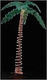 9' Deluxe Holographic Rope Light Palm Tree With 6 Leaves #166534